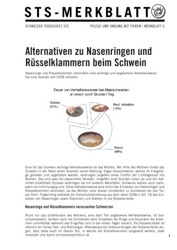 Alternativen zu Nasenringen und Rüsselklammern beim Schwein