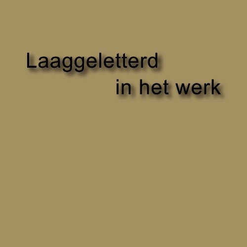 rapport Laaggletterd in het werk - TNO