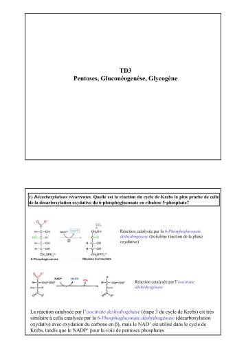 TD3 Pentoses, Gluconéogenèse, Glycogène - Département de ...