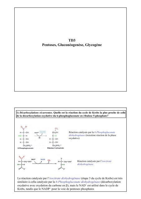 TD3 Pentoses, Gluconéogenèse, Glycogène - Département de ...