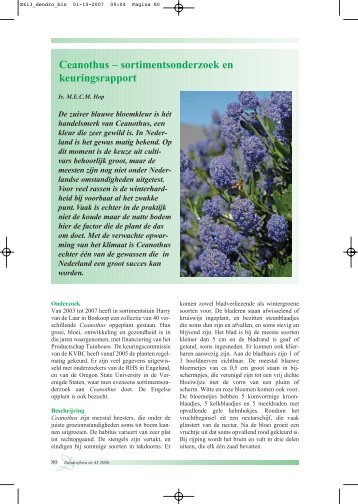 Ceanothus - Productschap Tuinbouw