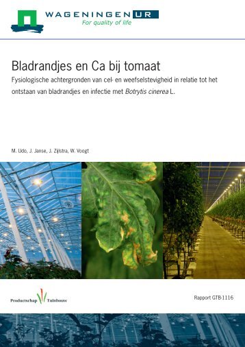 Bladrandjes en Ca bij tomaat - Productschap Tuinbouw