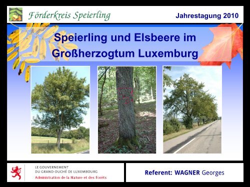 Speierling und Elsbeere im Großherzogtum Luxemburg