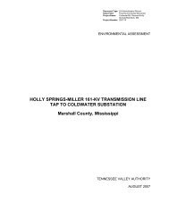 HOLLY SPRINGS-MILLER 161-KV TRANSMISSION LINE TAP TO ...