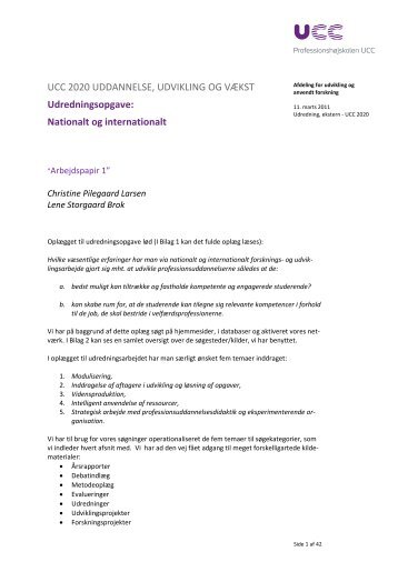 Udredning, ekstern - UCC 2020 - Professionshøjskolen UCC