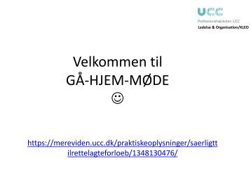 Københavnerprojekt, præsentation