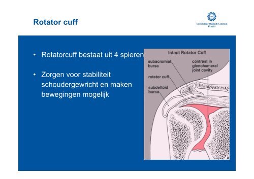 Presentatie Stapper - UMC Utrecht