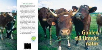 Guiden till Umeås natur - Umeå kommun