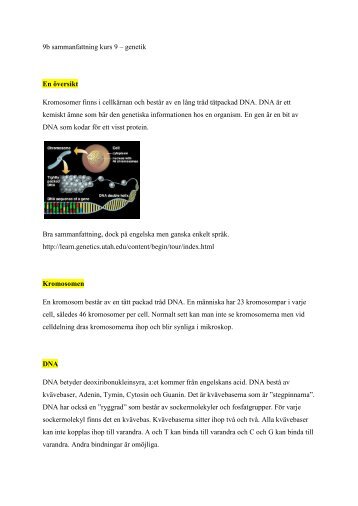 9b sammanfattning kurs 9 – genetik En översikt Kromosomer finns i ...