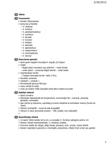 Vibrio Vibrionaceae – V. cholerae – V. mimicus – V ...