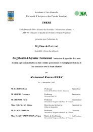 Muhammad Kamran Khan Universite D Avignon Et Des Pays De Muhammad Kamran Khan Universite D Avignon Et Des Pays De