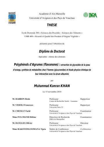 Muhammad Kamran KHAN - Université d'Avignon et des Pays de ...