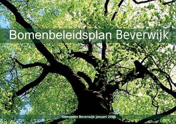 Bomenbeleidsplan Beverwijk - Leiedal