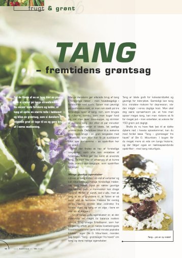 – fremtidens grøntsag - Tang - grøntsager fra havet
