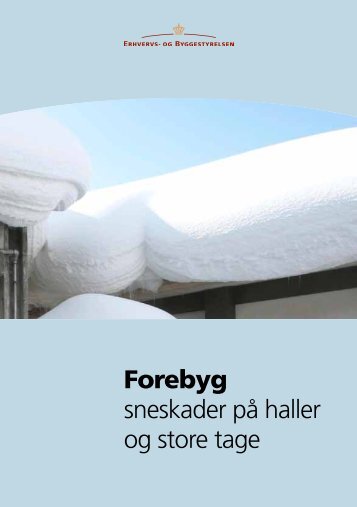 Forebyg sneskader på haller og store tage (PDF/1,5MB)