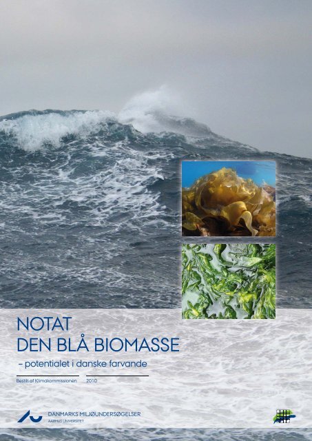 NOTAT, DEN BLÅ BIOMASSE