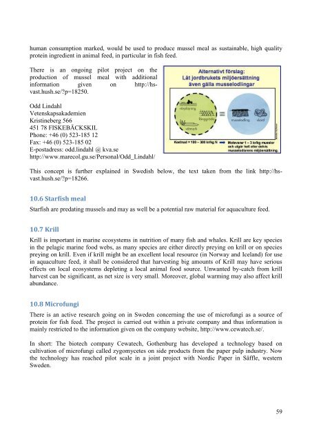 Local raw materials for production of fish feed for ... - Nordic Innovation