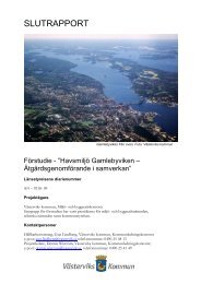 Förstudie - Åtgärder i samverkan - Västerviks kommun