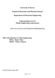 University of Surrey School of Electronics and Physical Sciences ...