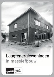 Laag-energiewoningen in massiefbouw - Vibe