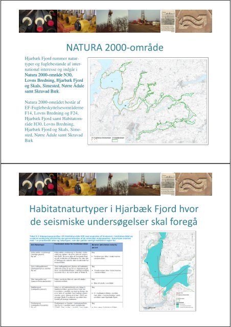 Viborg Geotermi Orienteringsmøde - Viborg Fjernvarme