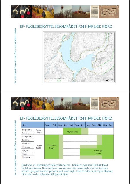 Viborg Geotermi Orienteringsmøde - Viborg Fjernvarme