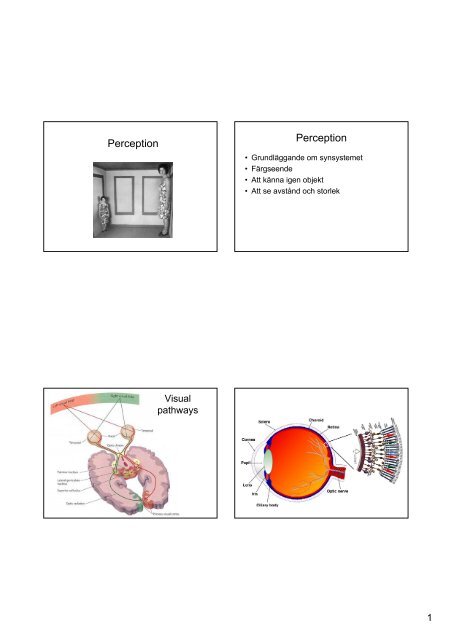 Perception Perception 1