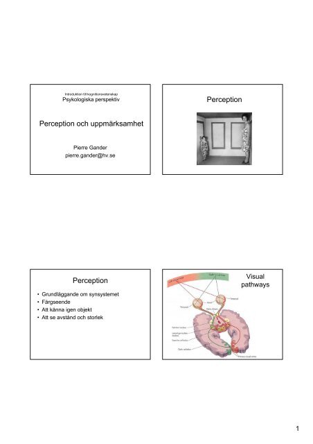 Perception och uppmärksamhet Perception Perception 1