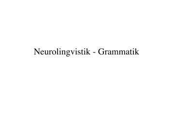 Neurolingvistik - Grammatik