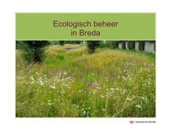 Waarom ecologisch beheer? - Gemeente Breda