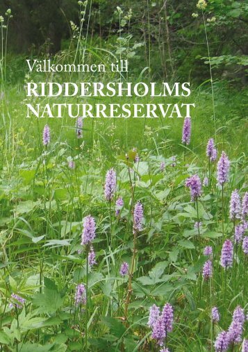 Riddersholms naturreservat (pdf-fil) - STF