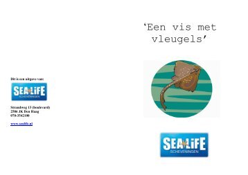 Rog spreekbeurt - Sea Life