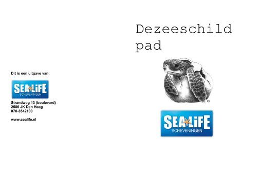 Schildpad spreekbeurt - Sea Life