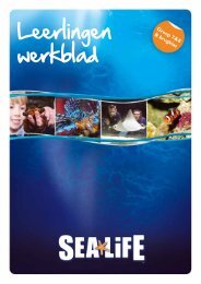 Groep 7-8 & brugklas deel 1 leerling werkblad - Sea Life