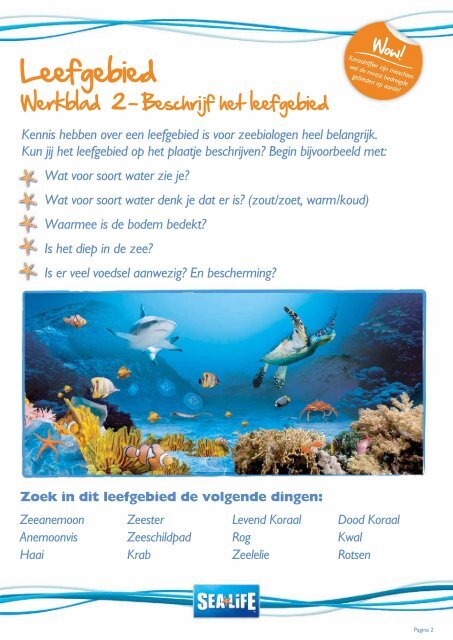 Groep 7-8 & brugklas deel 1 leerling werkblad - Sea Life