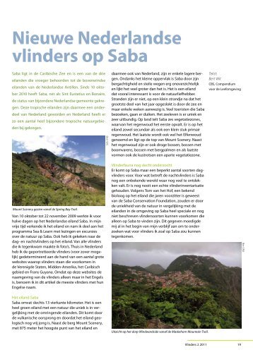 Nieuwe Nederlandse vlinders op Saba - Vlindernet