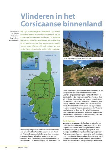Vlinderen in het Corsicaanse binnenland - Vlindernet