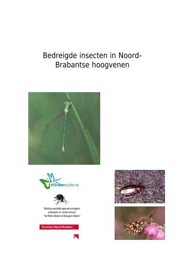 Bedreigde insecten in Noord- Brabantse hoogvenen - Vlindernet
