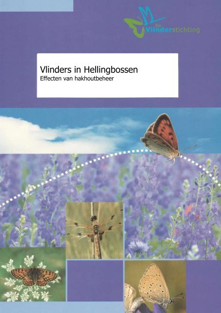 Vlinders in hellingbossen - Vlindernet