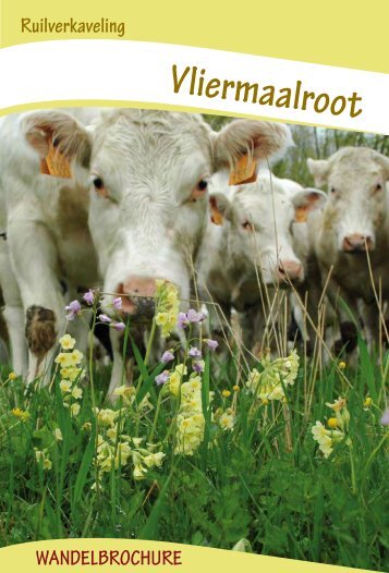 Wandelfolder Vliermaalroot - Vlaamse Landmaatschappij