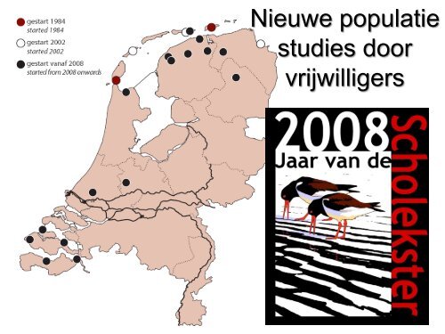 De carrière-planning van de Scholekster – part II