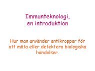 Immunokemiska tekniker - IFM