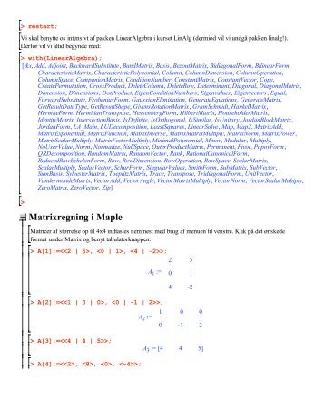 Matrixregning i Maple