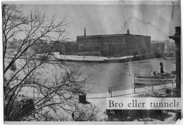 Bro eller tunnel
