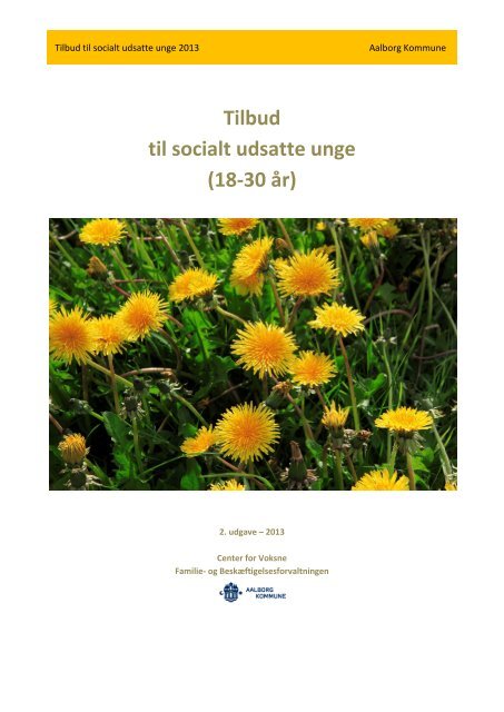 Tilbud til socialt udsatte unge (18-30 år) 2013 - Aalborg Kommune