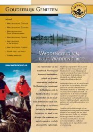 Waddengoud vis - Stichting Waddengroep