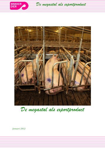 De megastal als exportproduct - Wakker Dier
