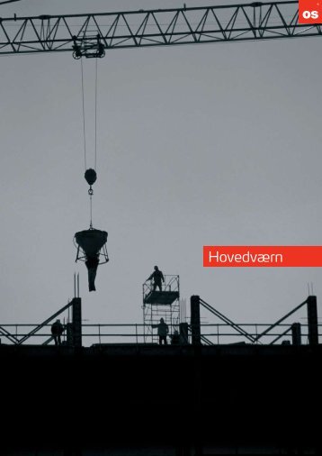 Hovedværn - TG-CLEAN ApS