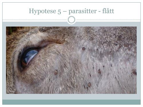15 Atle Mysterud - Hjortens trekkmønster i Norge
