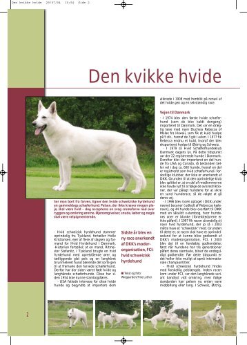 Hvid schweizisk hyrdehund - Hunden